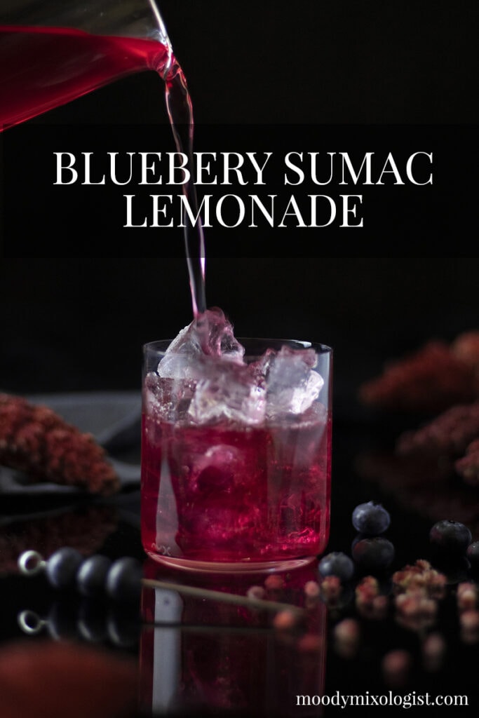 Foraged Cocktails Sumac Berry Lemonade Moody Mixologist