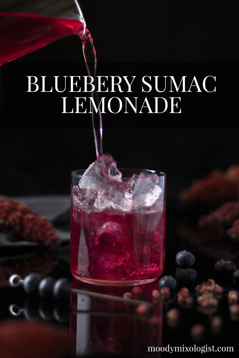 Foraged Cocktails Sumac Berry Lemonade Moody Mixologist
