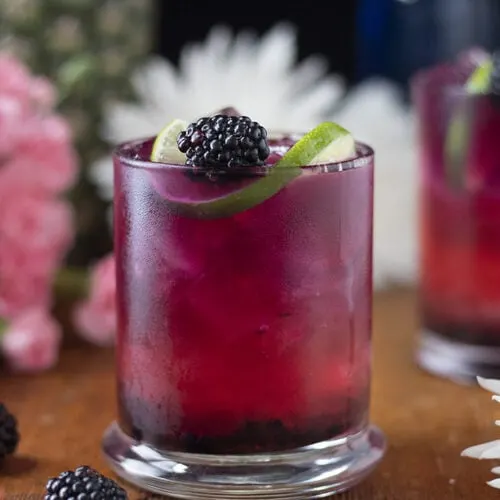 blackberry paloma mocktail cocktail