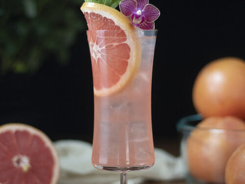 Winter Sea Breeze - Moody Mixologist