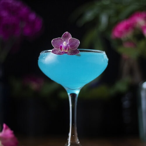 jasmine-elderflower-daiquiri-cocktail