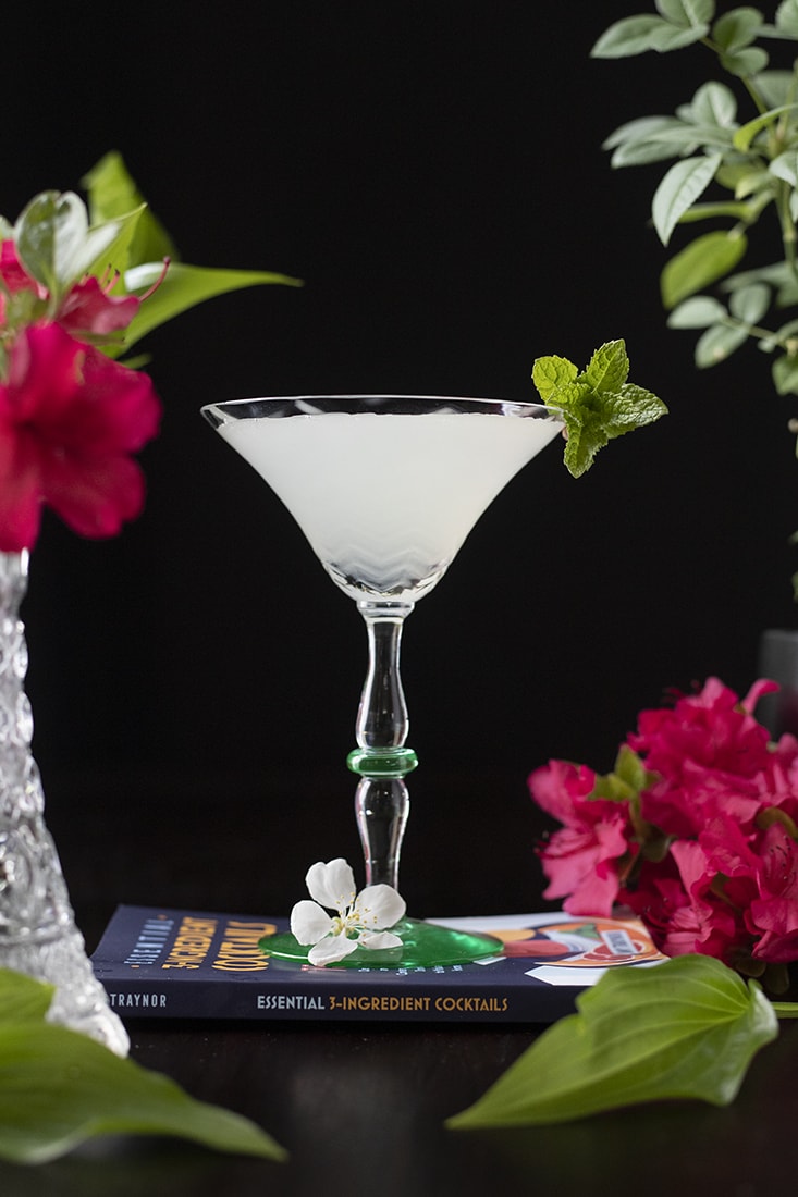 a white cocktail in a martini glass surrounded by green leaves and red tropical flowers on a black background