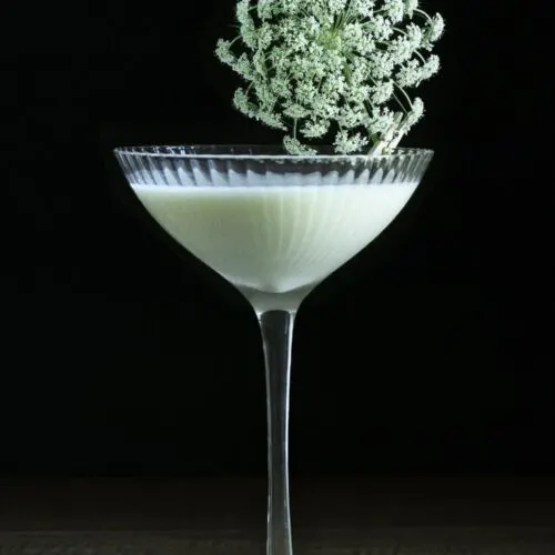 white creamy cocktail in a coupe with large flower.