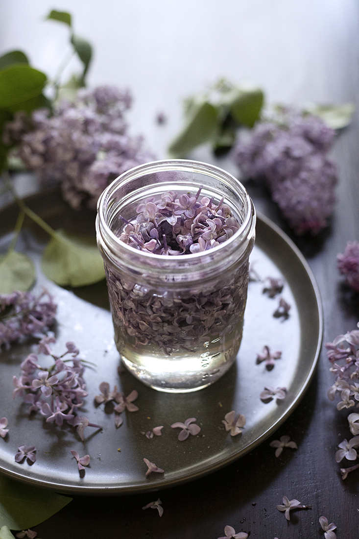 How to Make Lilac Simple Syrup Moody Mixologist