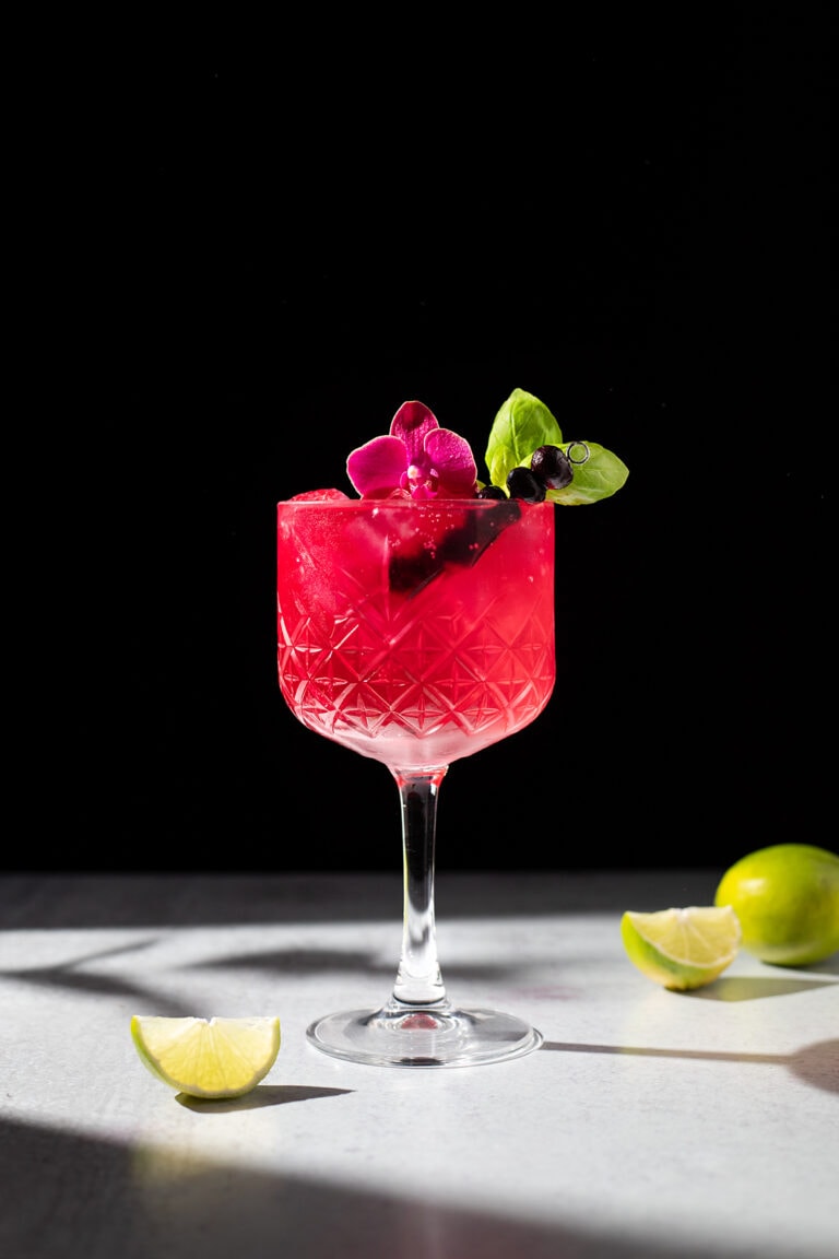 Blueberry Gin & Tonic Moody Mixologist