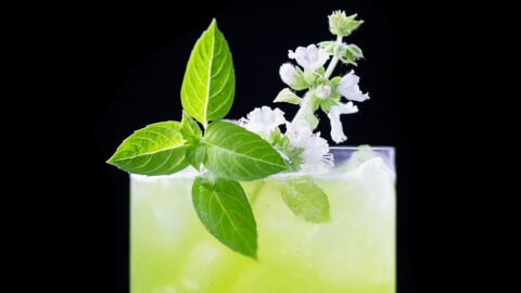 elfbar nachfüll pod läuft aus Basil smash- Julep- Mojito ce qui les lie