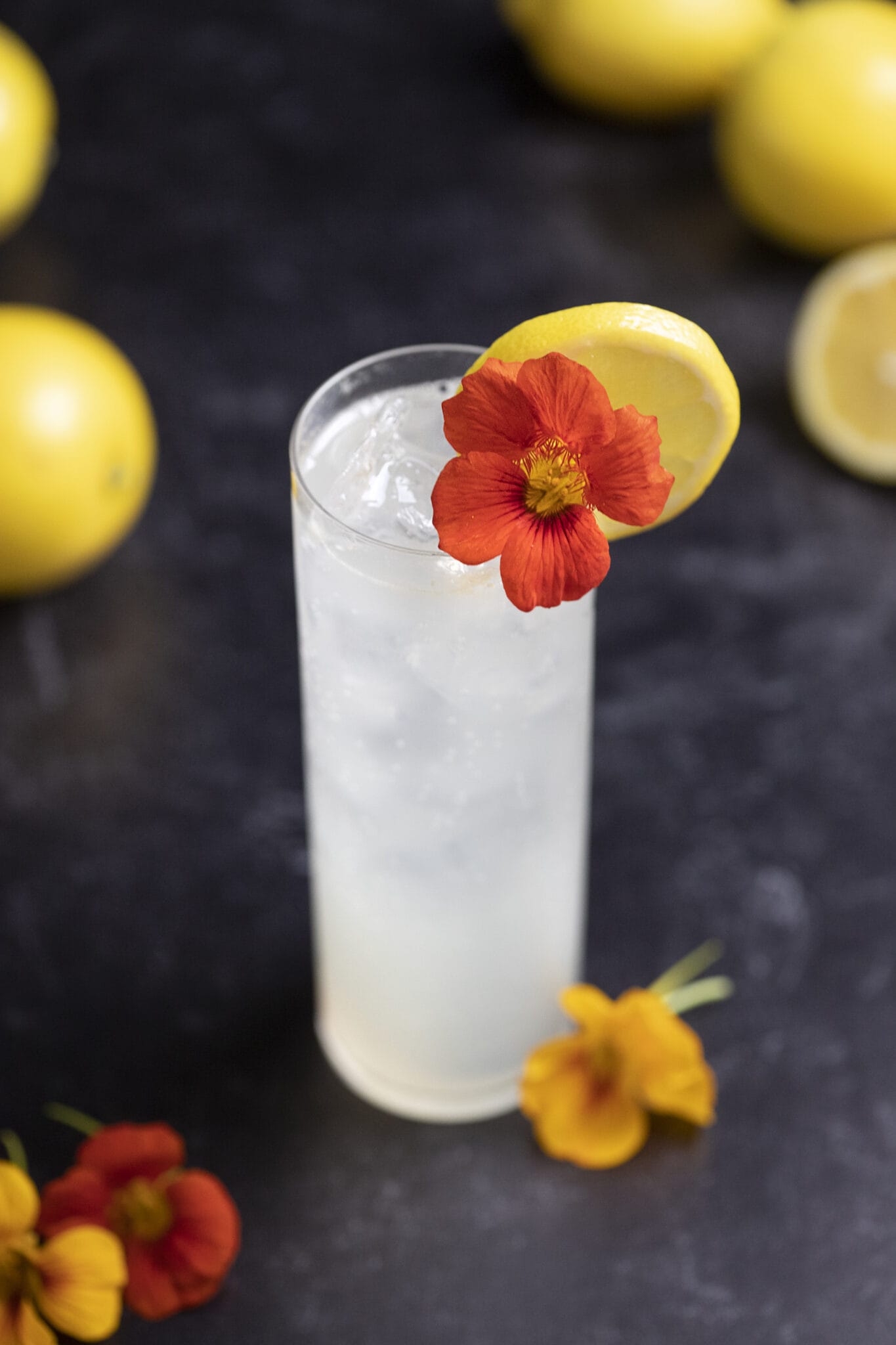 Guide to Easy Vodka Cocktails Moody Mixologist