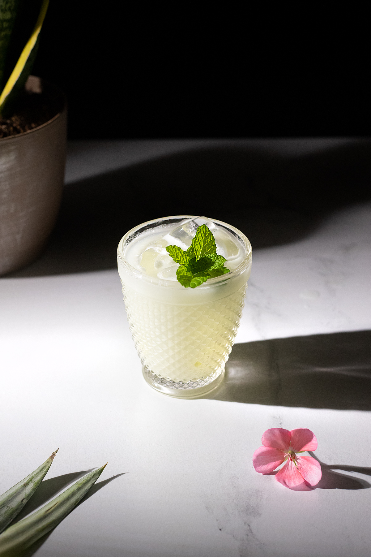 Piña Verde (Tropical Green Chartreuse Cocktail) Moody Mixologist