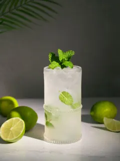 a highball glass filled with clear bubbly liquid and mint leaves.